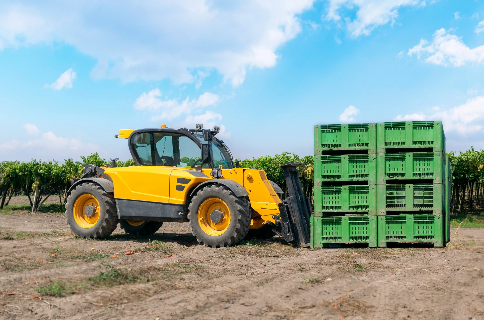 A yellow rough terrain telehandler positions agricultural crates in a vineyard in Ontario, Canada.